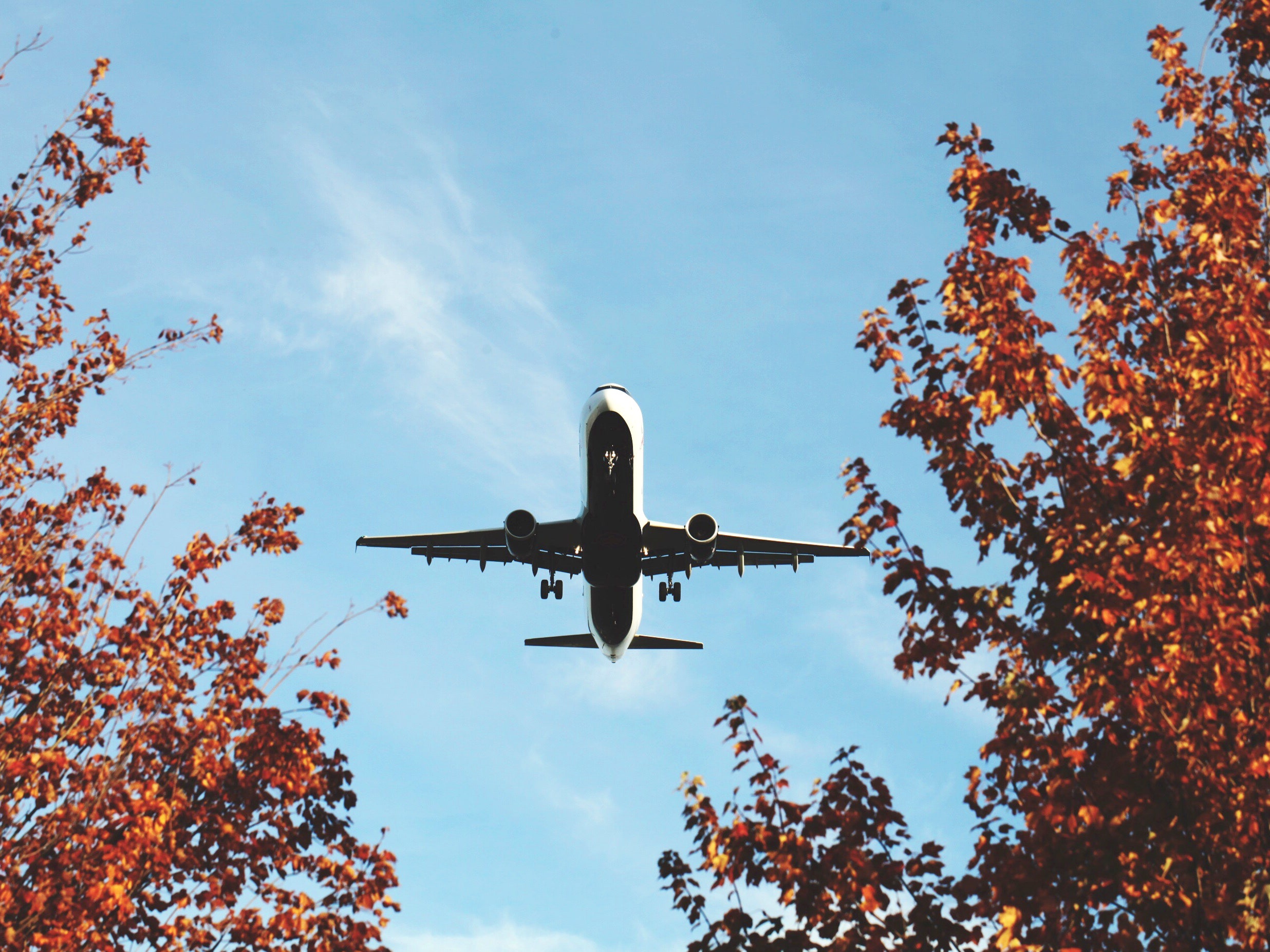 travel